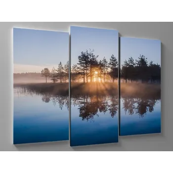 Obraz Obraz odraz lesa v rybníku Rozměr: 60 x 40 cm