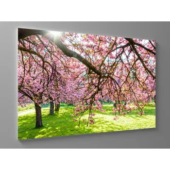 Obraz Obraz větve kvetoucí třešně Rozměr: 60 x 40 cm