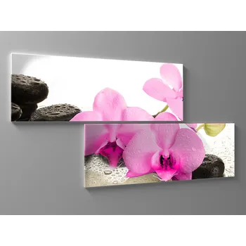 Obraz Obraz orchidej a kapky rosy Rozměr: 120 x 60 cm