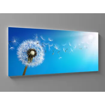 Obraz Obraz pampeliška na modré obloze Rozměr: 60 x 25 cm