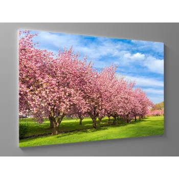 Obraz Obraz růžová alej Rozměr: 60 x 40 cm