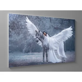 Obraz Obraz okřídlený jednorožec a žena Rozměr: 60 x 40 cm