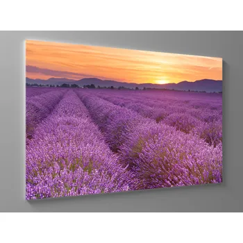 Obraz Obraz provence Rozměr: 60 x 40 cm