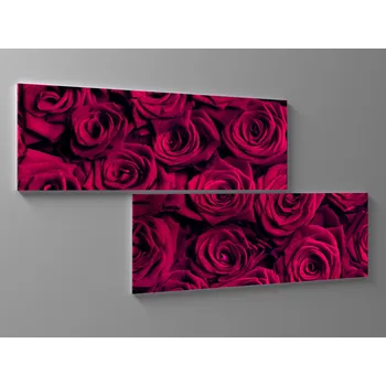 Obraz Obraz červené růže Rozměr: 80 x 40 cm