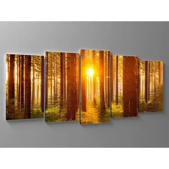 Obraz Obraz rozbřesk v lese Rozměr: 125 x 55 cm