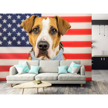 Tapeta Tapeta pes a americká vlajka