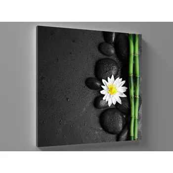 Obraz Černý obraz leknín Rozměr: 40 x 40 cm