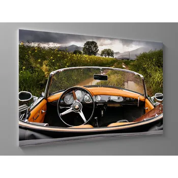 Obraz Obraz na plátně veterán Rozměr: 60 x 40 cm