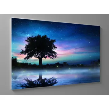 Obraz Obraz strom pod hvězdami Rozměr: 60 x 40 cm