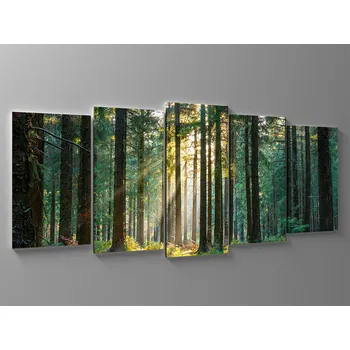 Obraz Obraz tichý les Rozměr: 125 x 55 cm