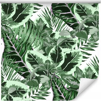 Fototapeta Tapeta do obýváku tropické listy příroda zeleň