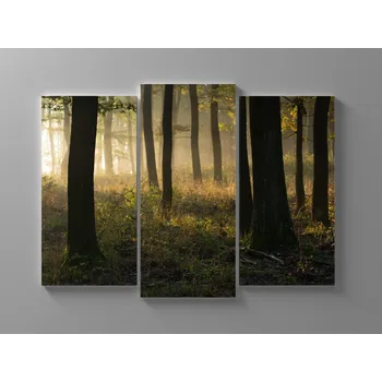 Obraz Obraz les při západu slunce Rozměr: 60 x 40 cm