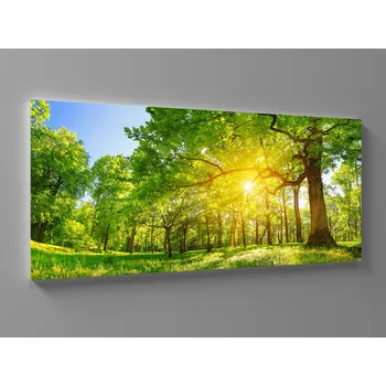 Obraz Obraz silný strom Rozměr: 120 x 55 cm