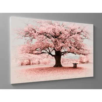 Obraz Obraz růžový strom Rozměr: 60 x 40 cm