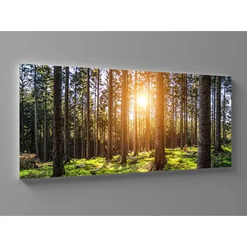 Obraz Obraz ráno v lese Rozměr: 60 x 25 cm