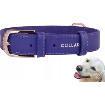 Obojek pro psa Kožený obojek pro psa WAUDOG COLLAR vel. M
