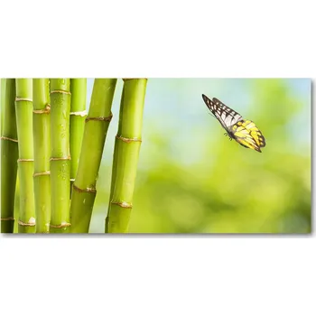 Obraz Kuchyňský panel Bambus a motýl 100x50 cm + LEPIDLO