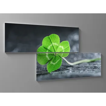 Obraz Obraz čtyřlístek pro štěstí Rozměr: 80 x 40 cm