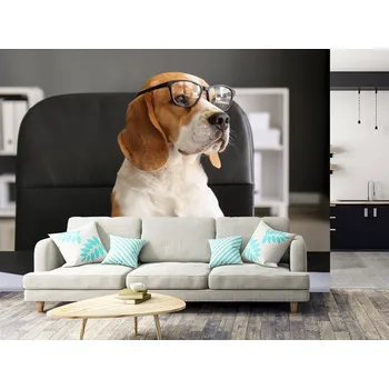 Tapeta Tapeta pes v kanceláři