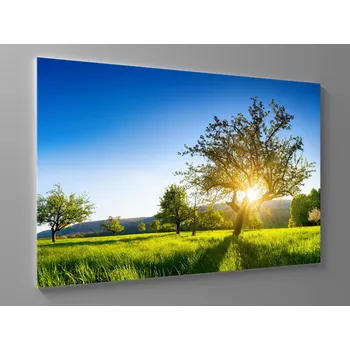 Obraz Obraz úsvit na venkově Rozměr: 60 x 40 cm