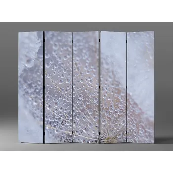 Paraván Paraván kapky rosy na pampelišce Rozměr: 225 x 180 cm
