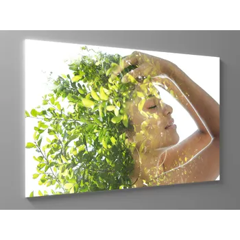 Obraz Obraz živá příroda Rozměr: 60 x 40 cm