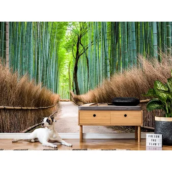Tapeta Tapeta japonský bambusový les