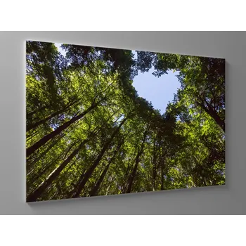 Obraz Obraz srdce v korunách stromů Rozměr: 60 x 40 cm