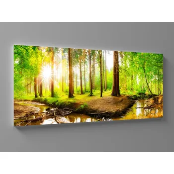 Obraz Obraz lesní potok Rozměr: 60 x 25 cm