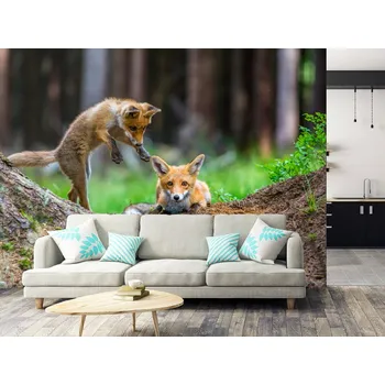 Tapeta Tapeta hrající si lišky