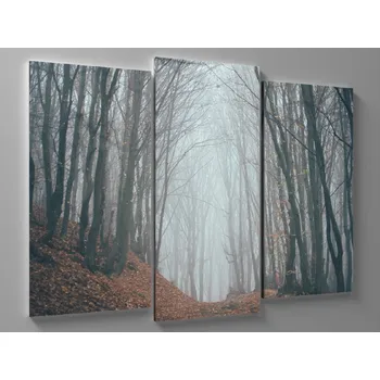 Obraz Obraz tajemný les v mlze Rozměr: 60 x 40 cm