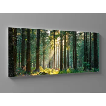 Obraz Obraz tichý les Rozměr: 60 x 25 cm