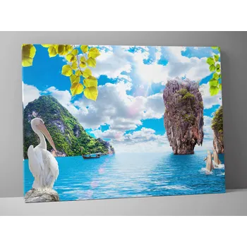 Obraz Obraz pelikán v thajsku Rozměr: 90 x 60 cm