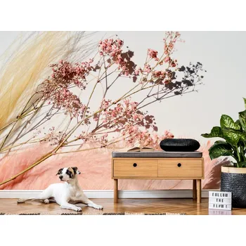 Tapeta Tapeta luční květiny a pírka