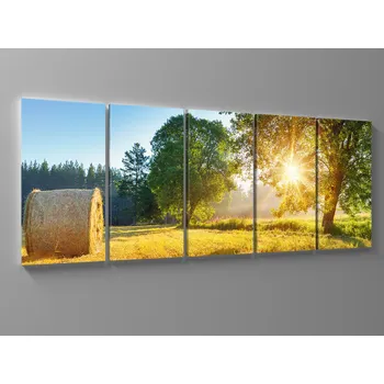 Obraz Balík slámy v ranním slunci Rozměr: 150 x 60 cm