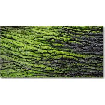 Obraz Ochranný panel imitace kůry stromu 140x70 cm + LEPIDLO