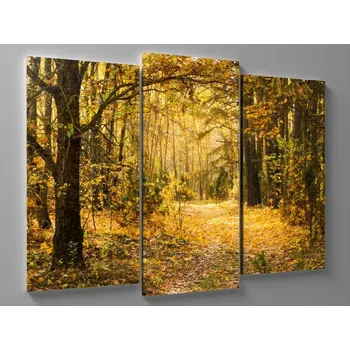 Obraz Obraz žlutý podzimní les Rozměr: 60 x 40 cm