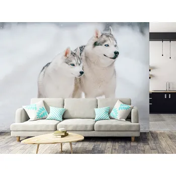 Tapeta Tapeta pes husky ve sněhu