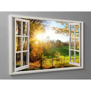 Obraz Obraz pěšina z lesa Rozměr: 60 x 40 cm