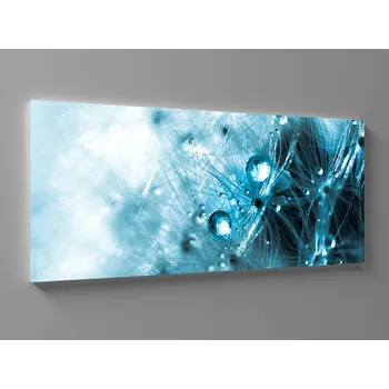 Obraz Obraz pampelišky a kapky Rozměr: 60 x 25 cm