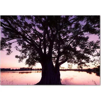 Obraz Skleněný panel 70 x 100 x 4 mm tvrzené sklo broušené černý