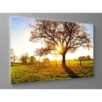 Obraz Obraz podzimní krajina v západu slunce Rozměr: 60 x 40 cm