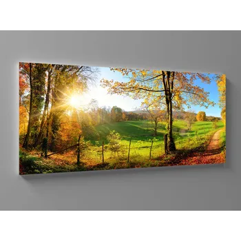 Obraz Obraz pešina z lesa Rozměr: 60 x 25 cm