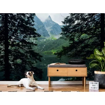 Tapeta Tapeta pohled na horské jezero