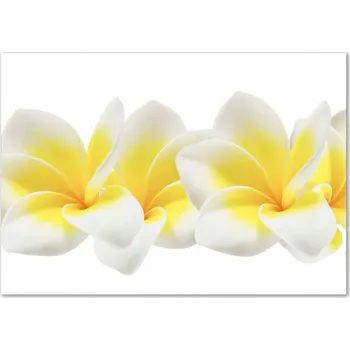 Obraz Skleněný panel Wallmuralia 70x100 cm tvrzené sklo žlutý