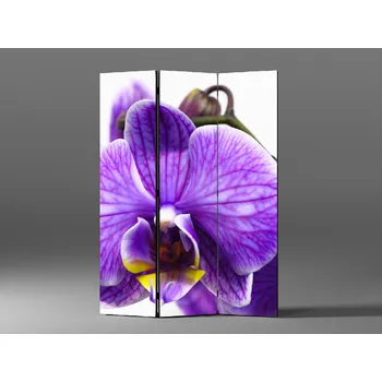 Paraván Paraván orchidej na bílém pozadí Rozměr: 135 x 180 cm