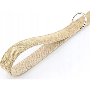 Vodítko pro psa Silné vodítko pro psa 1.52 m tradiční Huggy Doggy L