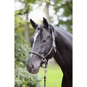 Jezdecké sedlo Ohlávka nylonová Covalliero Cordano, khaki Velikost: Pony