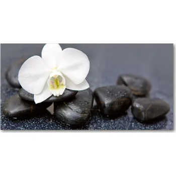 Obraz Kuchyňský panel mezi skříňky Orchidej 100x50 cm + LEPIDLO