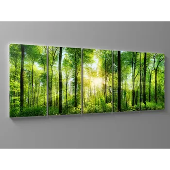 Obraz Obraz prosluněný zelený les Rozměr: 100 x 40 cm